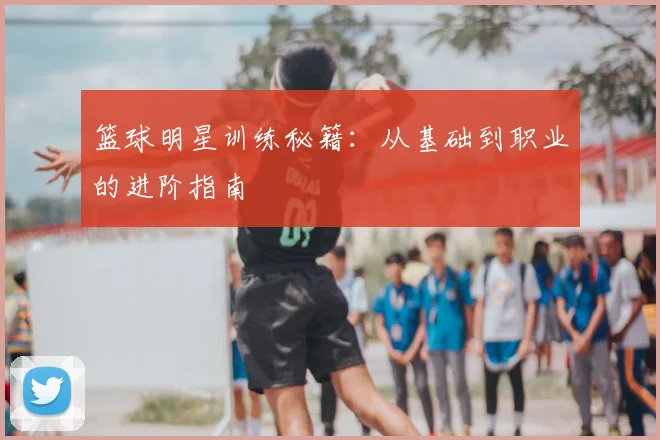 篮球明星训练秘籍：从基础到职业的进阶指南
