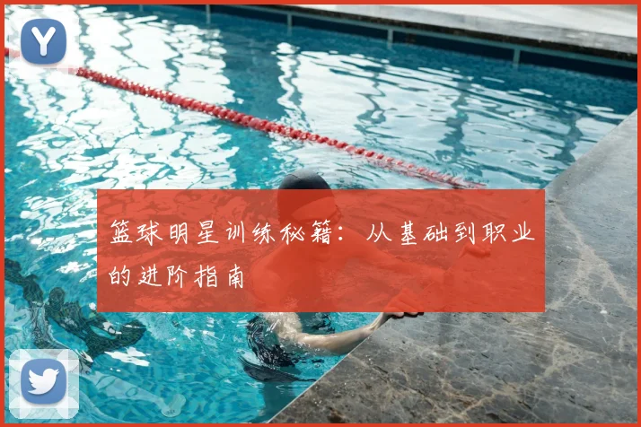 篮球明星训练秘籍:从基础到职业的进阶指南